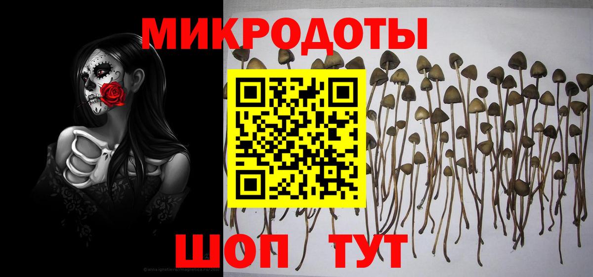 Галлюциногенные грибы прущие грибы  Вход с VPN  Чита  Псилоцибиновые грибы Cubensis 